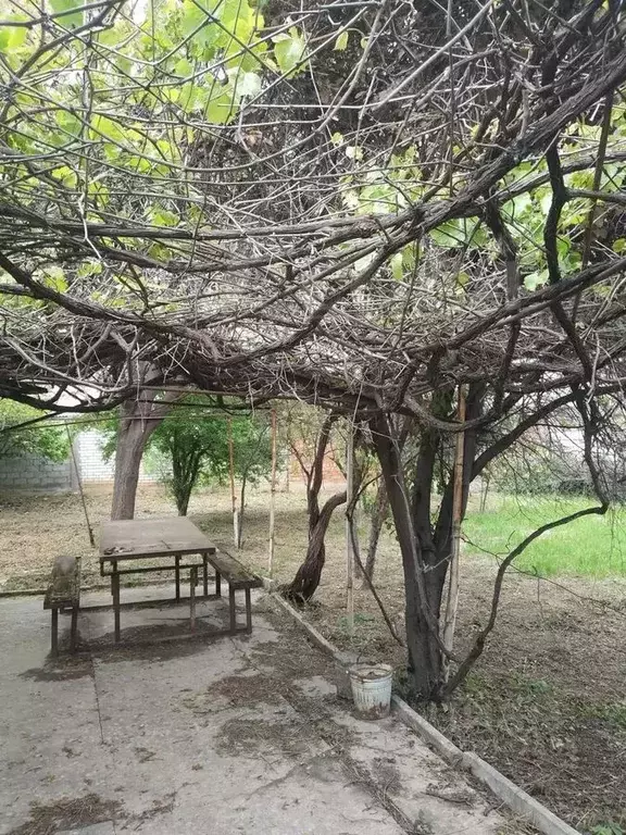 Участок в Дагестан, Махачкала проезд 5-й Блестящий, 7 (4.5 сот.) - Фото 1