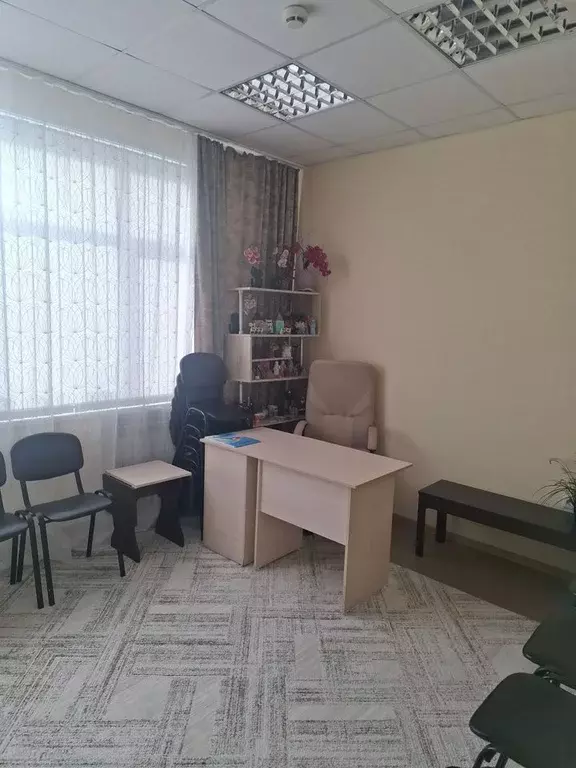 Офис в Новосибирская область, Новосибирск ул. Максима Горького, 54 (19 ... - Фото 1
