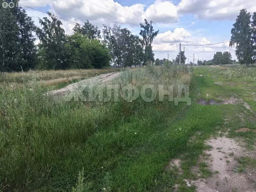 Участок в Марусино, улица Тургенева (12 м) - Фото 1