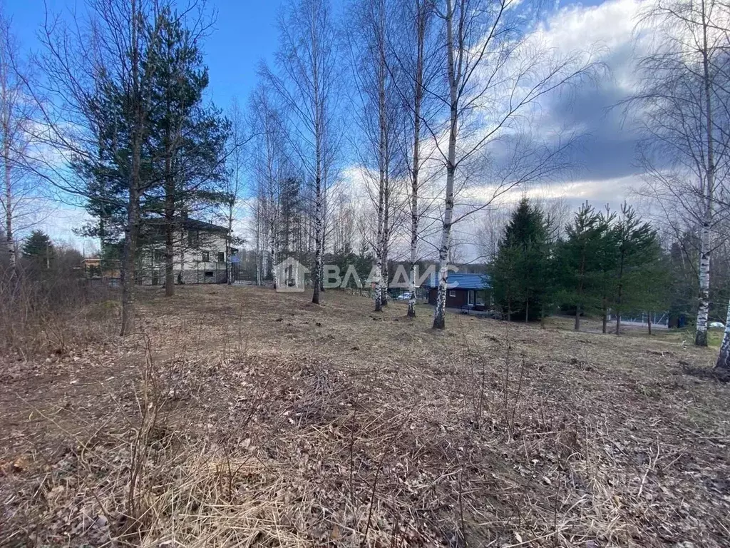 Участок в Ленинградская область, Всеволожский район, Токсовское ... - Фото 0