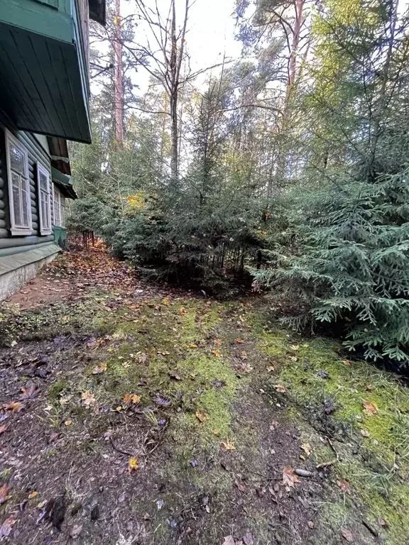 Участок в Ленинградская область, Всеволожск ул. Гоголя (34.0 сот.) - Фото 1