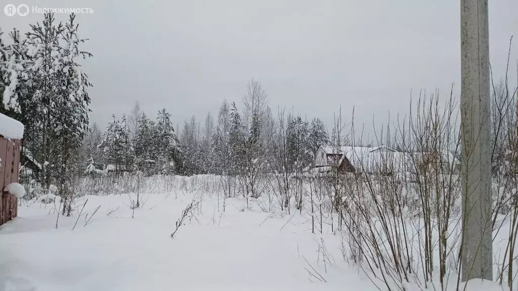 Участок в Сыктывкар, Усадебная улица (15 м) - Фото 2