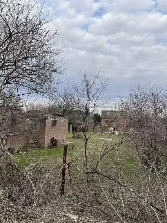 Участок в Ростовская область, Мясниковский район, с. Чалтырь Лазоревая ... - Фото 1