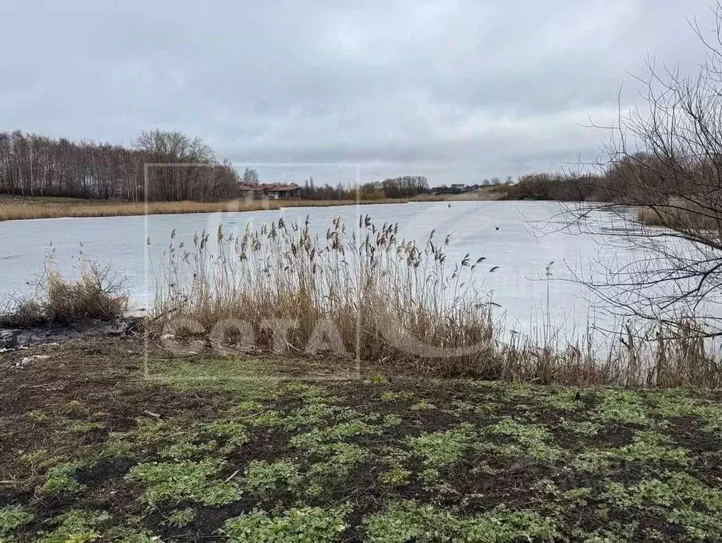 Дом в Воронежская область, с. Каширское пер. Советский, 10 (74 м) - Фото 0