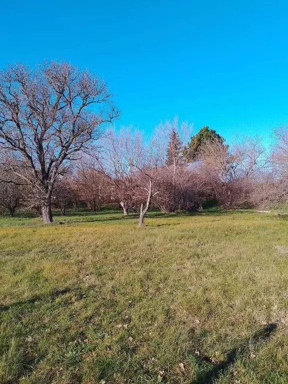 Участок в Краснодарский край, Анапа муниципальный округ, Гостагаевская ... - Фото 1