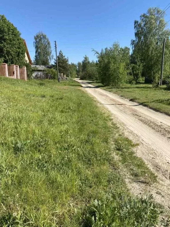 Дом в Нижегородская область, Павловский район, д. Щепачиха 46А (75 м) - Фото 1