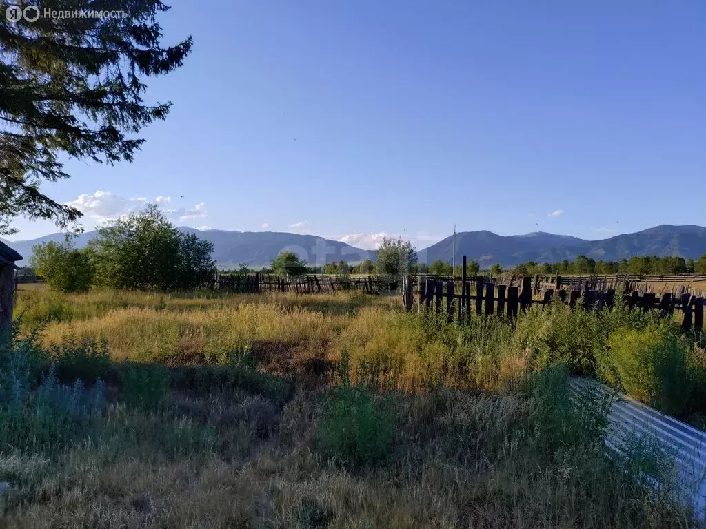 Участок в Усть-Коксинский район, село Горбуново (20 м) - Фото 1
