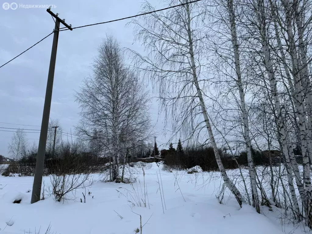 Участок в Челябинская область, Сосновский муниципальный округ, СНТ ... - Фото 1