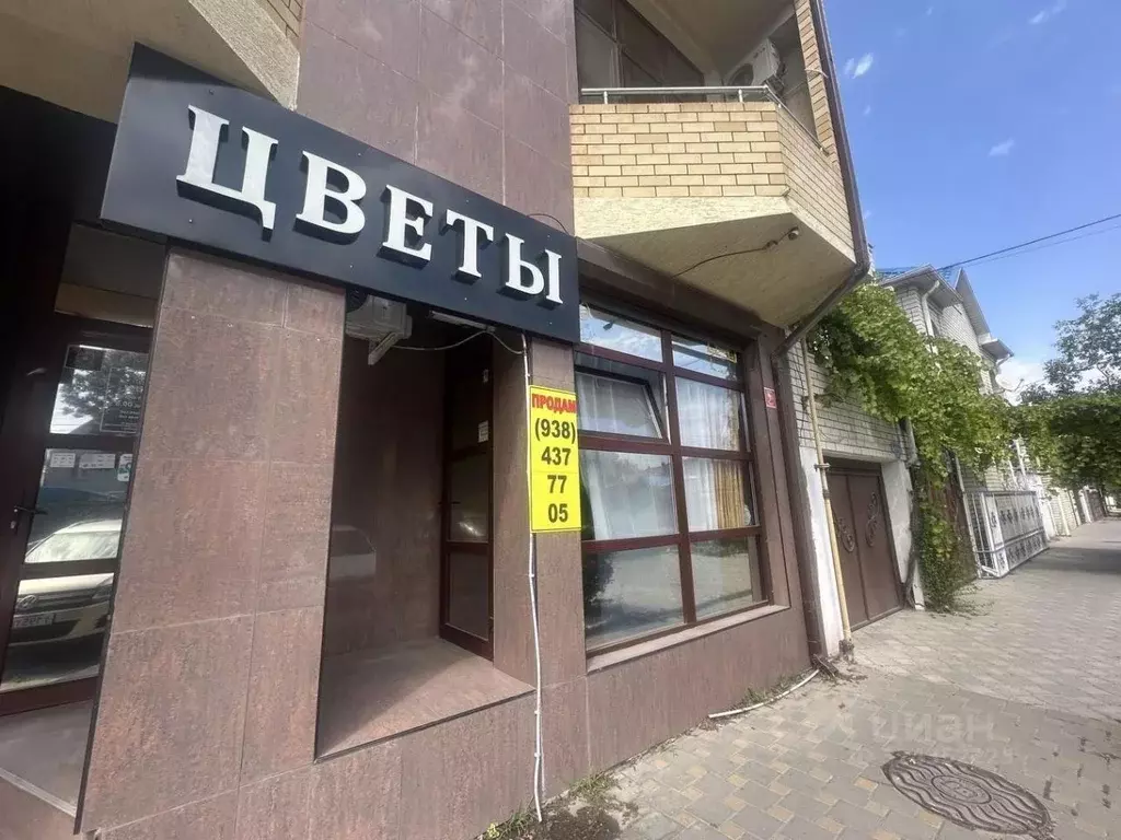 Помещение свободного назначения в Краснодарский край, Анапа ул. ... - Фото 1