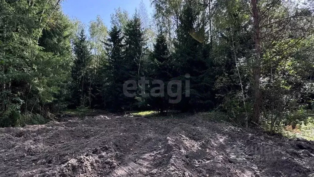 Участок в Московская область, Богородский городской округ, Щемиловские ... - Фото 1