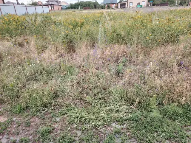Участок 4 сот. (ИЖС) - Фото 0