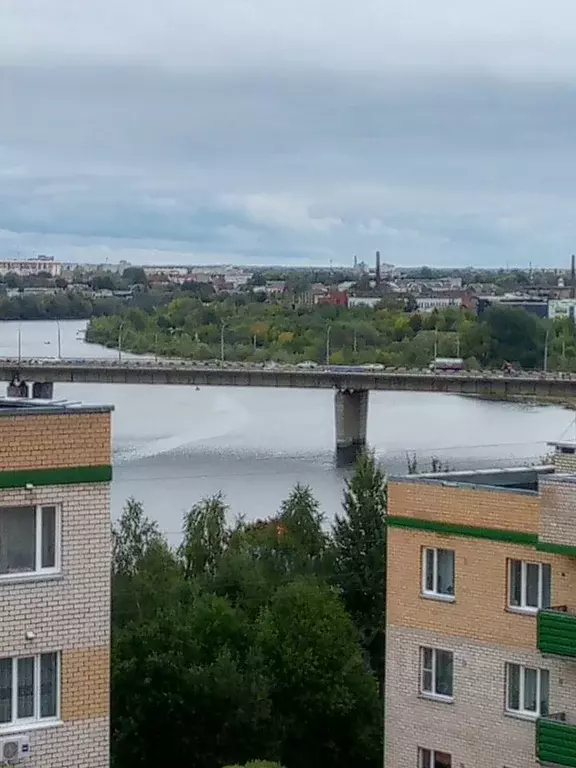 1-к кв. Псковская область, Псковский муниципальный округ, д. Родина ... - Фото 1