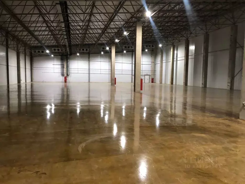 Склад в Ленинградская область, Ломоносовский район, Лаголовское с/пос, ... - Фото 1