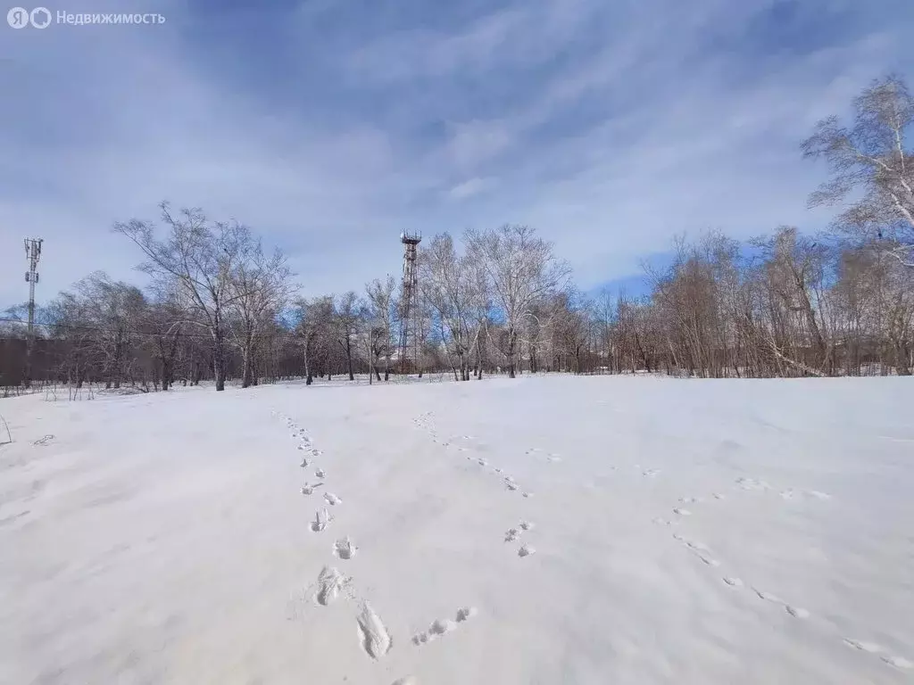 Участок в Камчатский край, Елизовский муниципальный округ, рабочий ... - Фото 1