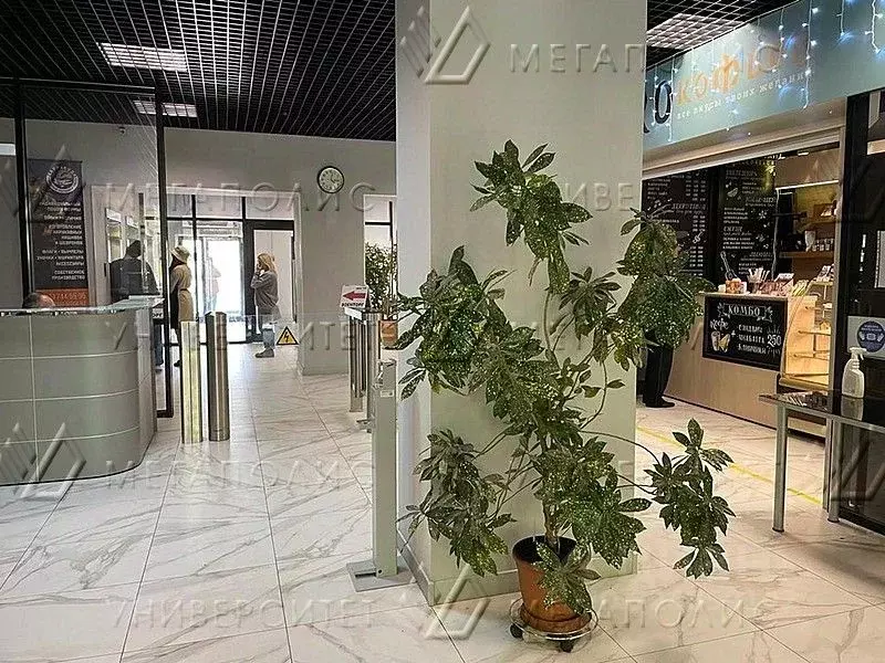 Офис в Москва ул. Юннатов, 18 (93 м) - Фото 1