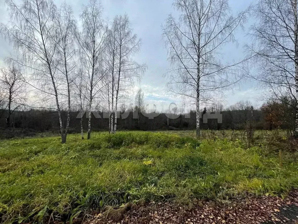 Участок в Московская область, Клин городской округ, ДПК Троицкое ... - Фото 1