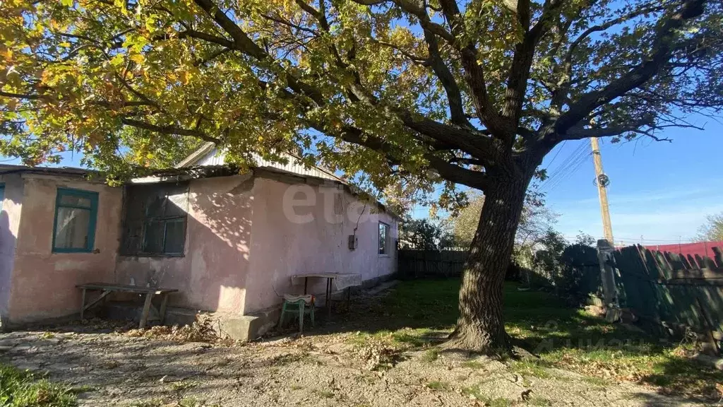 Дом в Крым, Ленинский район, с. Батальное ул. Комарова (56 м) - Фото 1