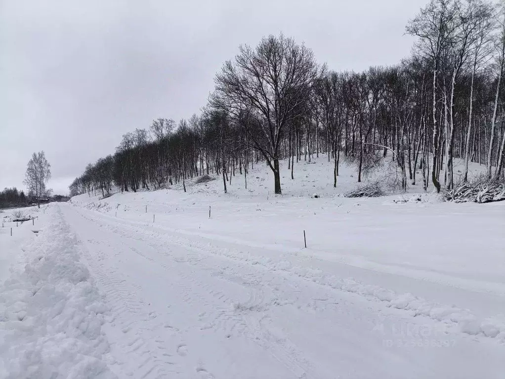 Участок в Московская область, Дмитровский муниципальный округ, д. ... - Фото 2