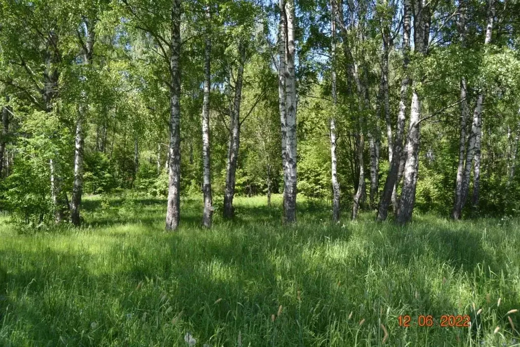 Участок в Ярославская область, Мышкинский муниципальный округ, с. ... - Фото 0
