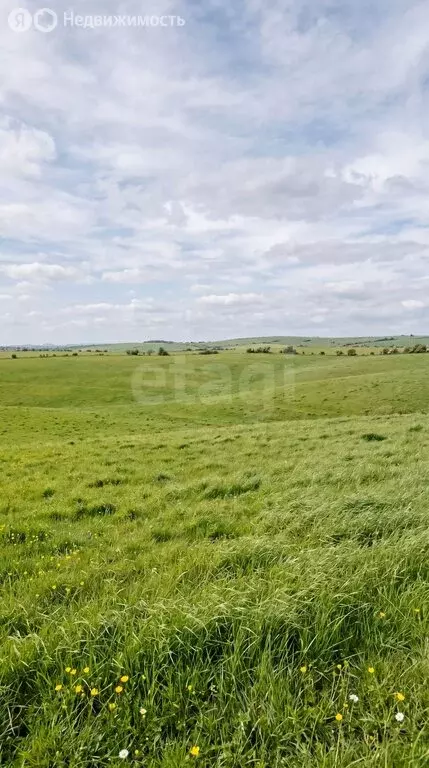 Участок в село Онгудай, Радужная улица (10.96 м) - Фото 2