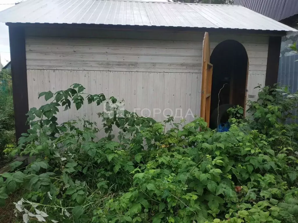 Участок в Новосибирская область, Новосибирск Бугринский мир СНТ, 44 ... - Фото 1