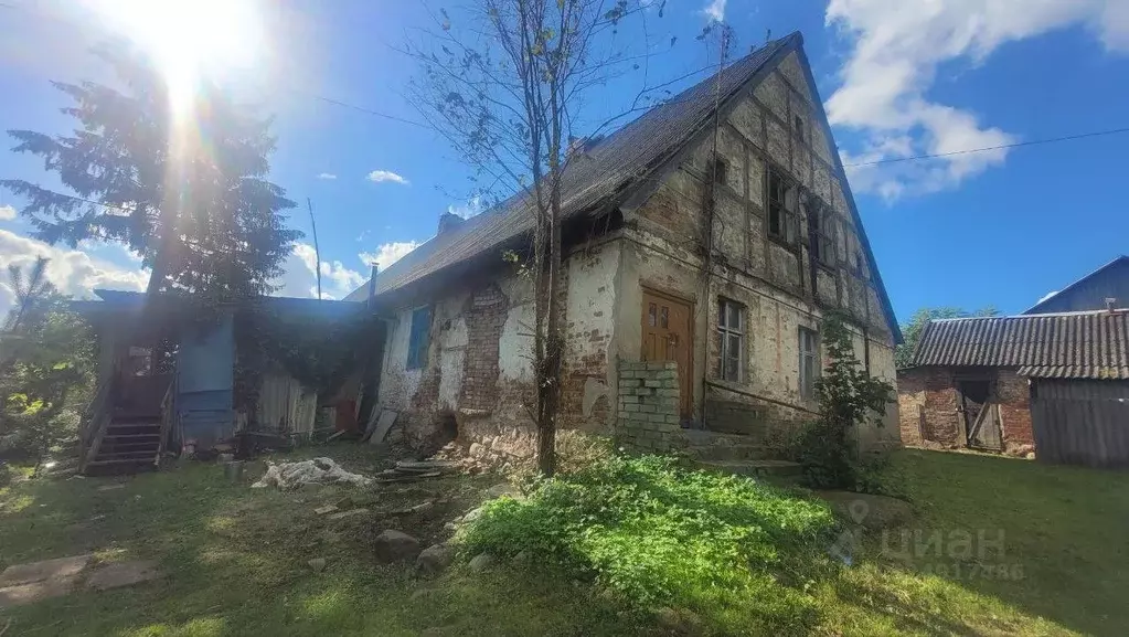 Помещение свободного назначения в Калининградская область, Гусевский ... - Фото 2