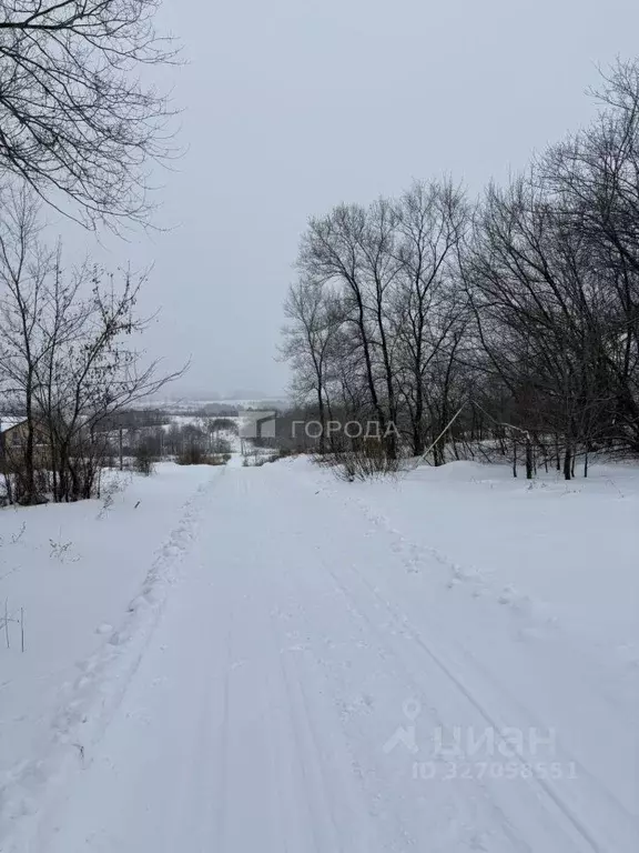 Участок в Кемеровская область, Новокузнецкий муниципальный округ, пос. ... - Фото 1