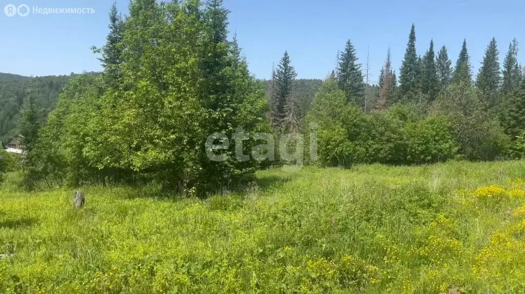 Участок в Златоуст, улица Алексея Толстого (10 м) - Фото 1