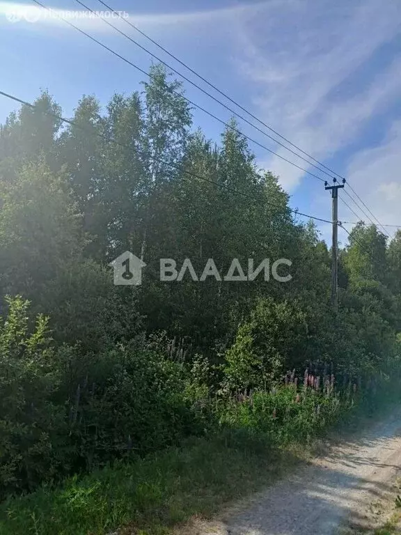 Участок в Выборгский район, Каменногорское городское поселение, ... - Фото 1