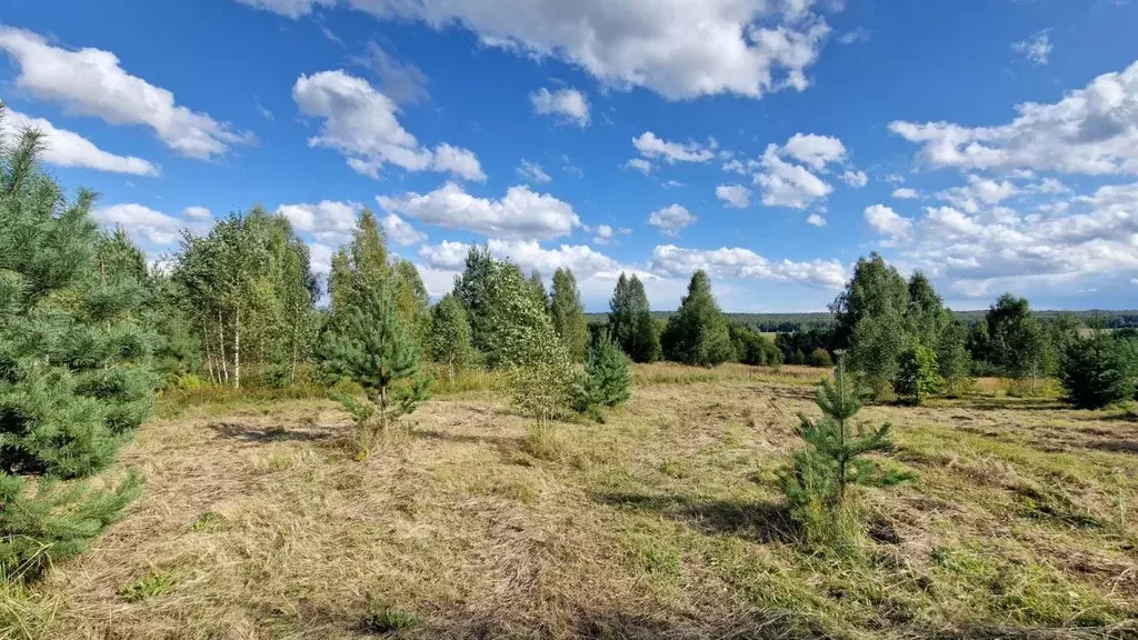 Участок в Нижегородская область, Нижний Новгород д. Кривая Шелокша,  ... - Фото 2