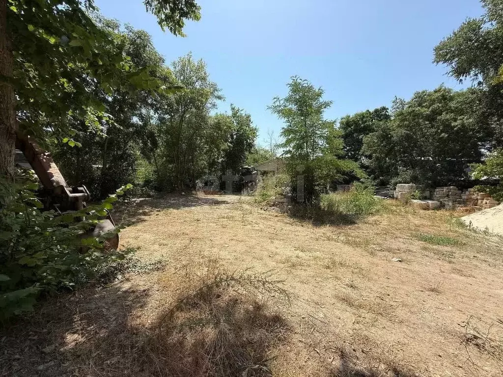 Участок в Крым, Феодосия муниципальный округ, Щебетовка пгт ул. ... - Фото 1