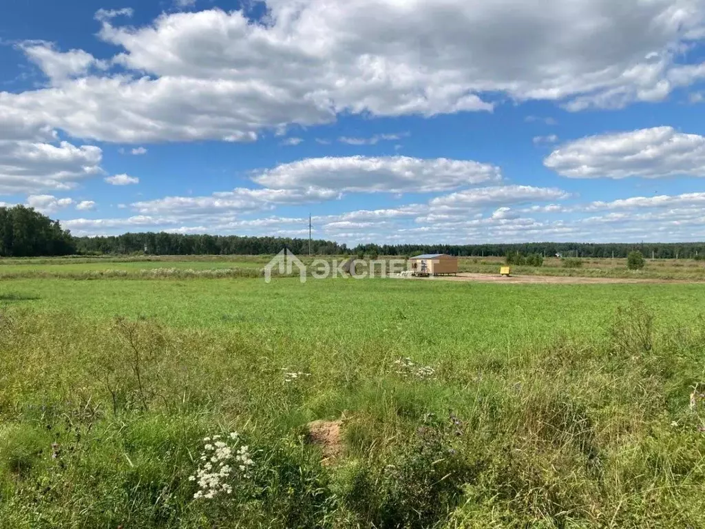 участок в московская область, павлово-посадский городской округ, д. . - Фото 0