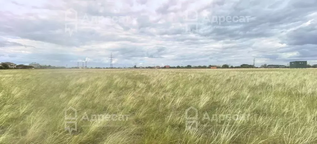 Участок в Волгоградская область, Городищенский район, Царицынское ... - Фото 0