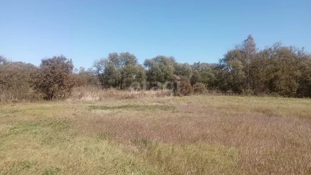 Участок в Хабаровский край, Хабаровск Северный мкр, ул. Линейная (15.9 ... - Фото 0