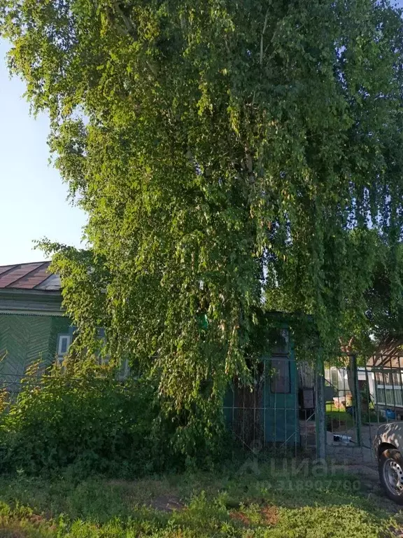 Дом в Алтайский край, Барнаул городской округ, пос. Бельмесево ул. ... - Фото 0