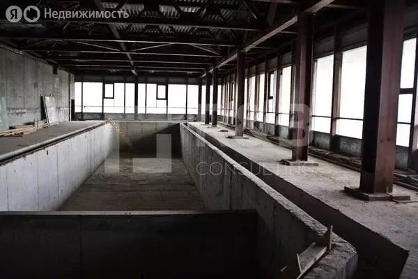 Офис (1139.7 м) - Фото 0