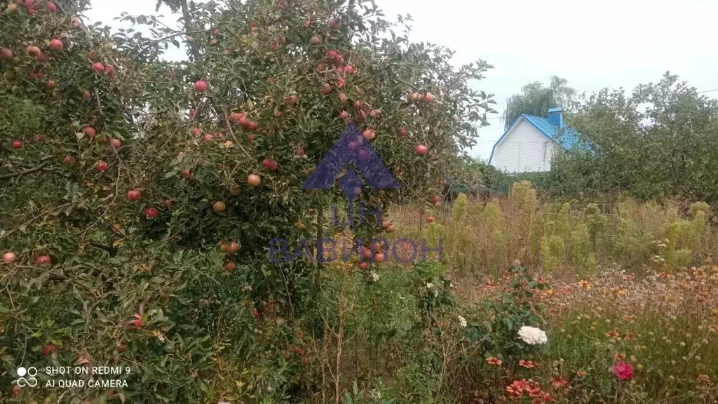 Дом в Ростовская область, Волгодонск В-Б кв-л,  (30 м) - Фото 2