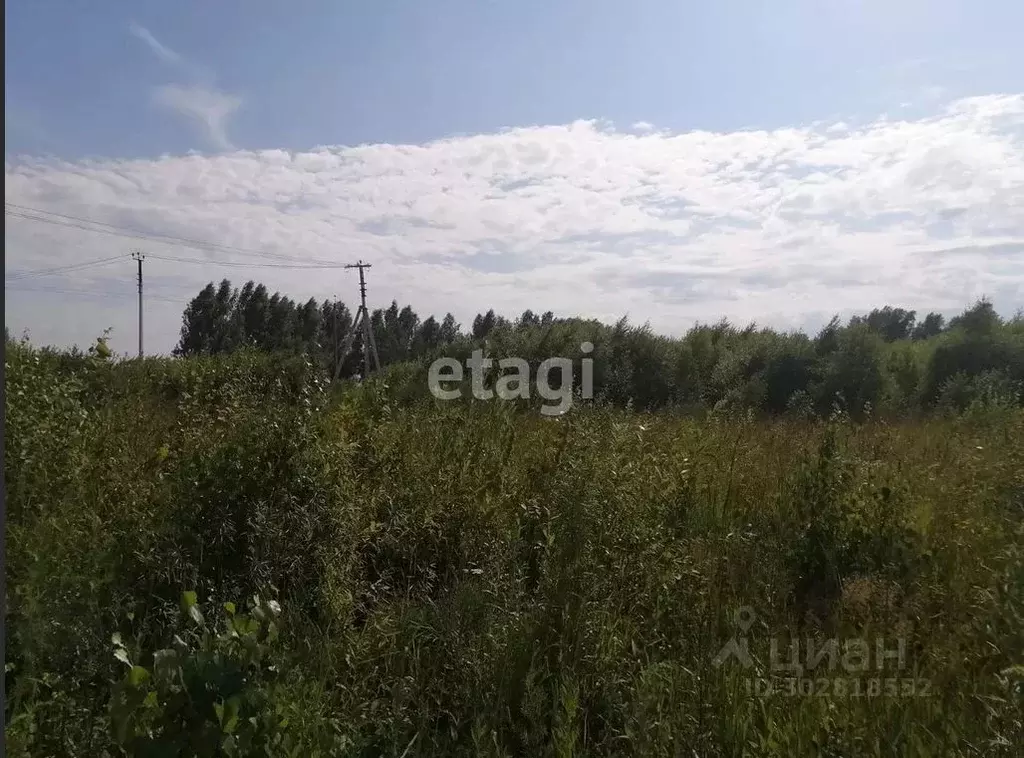 Участок в Томская область, Томский район, с. Корнилово  (20.0 сот.) - Фото 0