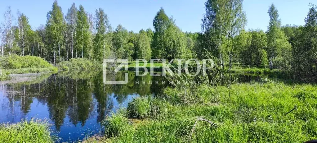 Участок в Костромская область, Костромской район, Кузьмищенское с/пос, ... - Фото 2