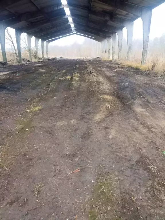 Помещение свободного назначения в Московская область, Коломна ... - Фото 2