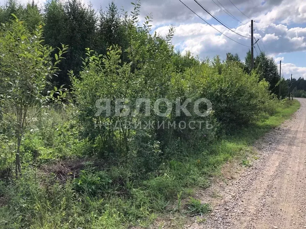 Участок в Пермский край, Березники муниципальное образование, пос. ... - Фото 2
