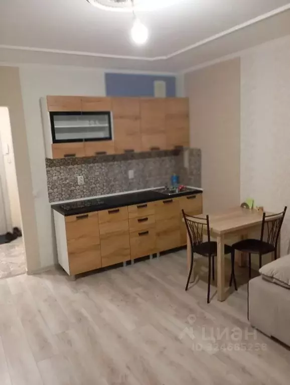 Студия Санкт-Петербург пос. Шушары, просп. Новгородский, 2к1 (27.0 м) - Фото 1