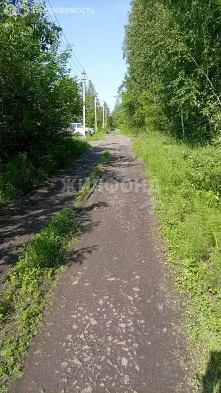 Участок в село Сокур, улица Мурашкина (10 м) - Фото 1
