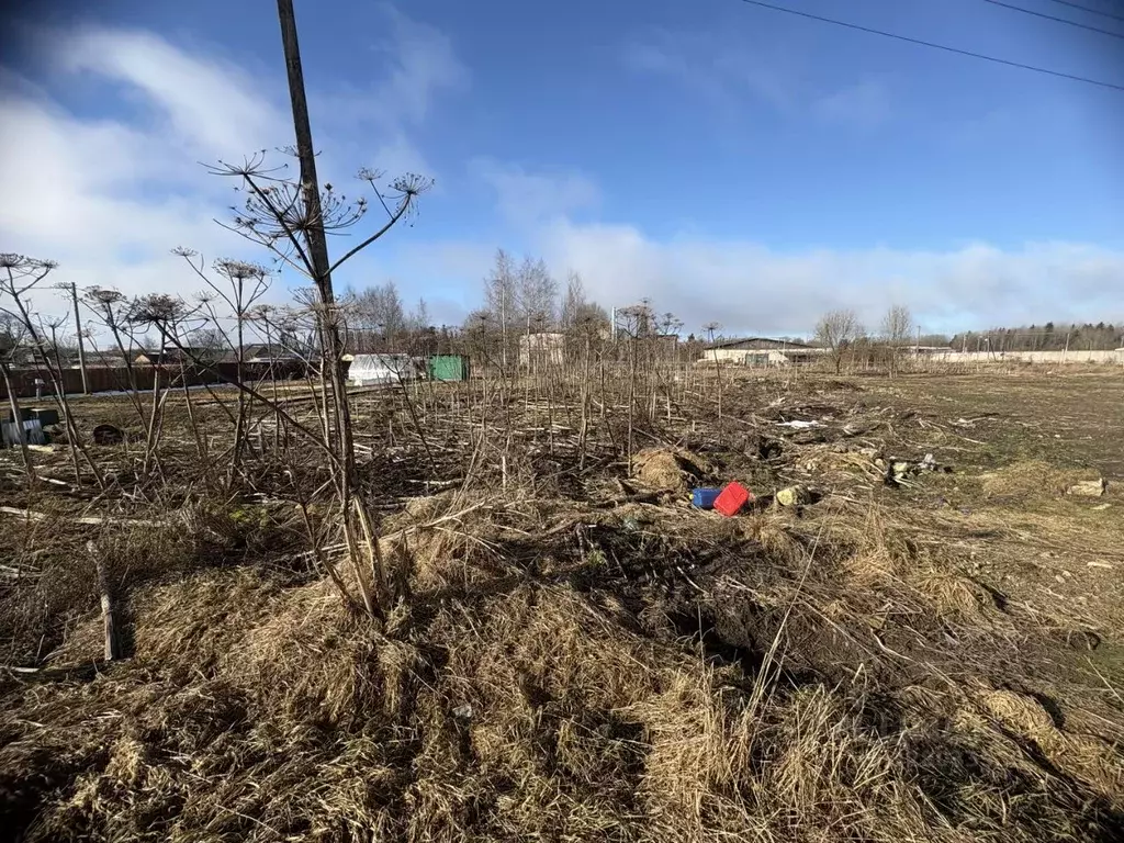 Участок в Ленинградская область, Волосовский район, Клопицкое с/пос, ... - Фото 2