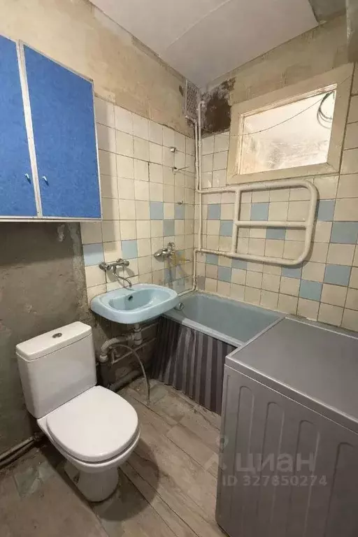 2-к кв. Белгородская область, Белгород Садовая ул., 108 (39.3 м) - Фото 2