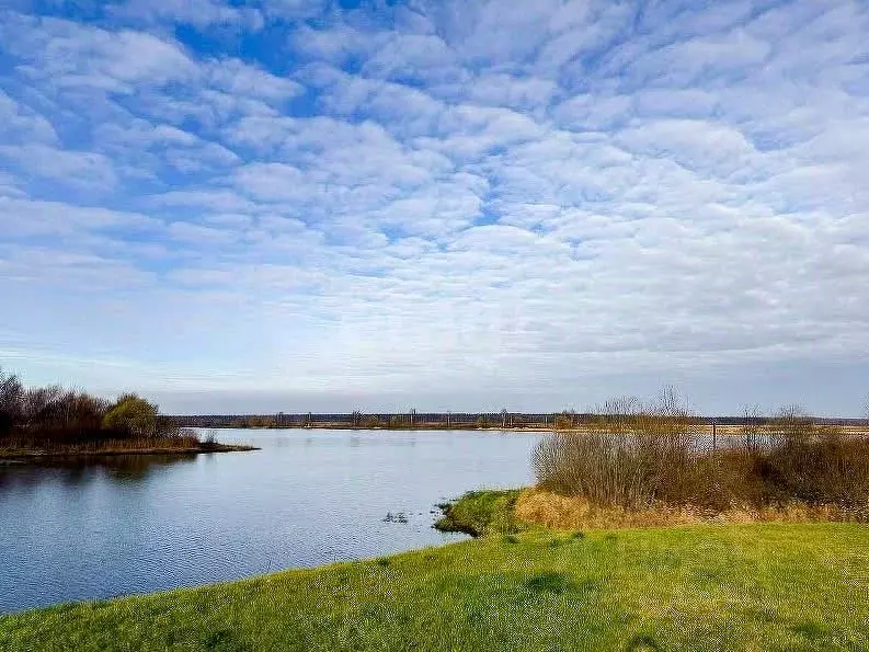 Дом в Ярославская область, Ярославский муниципальный округ, с. Туношна ... - Фото 1
