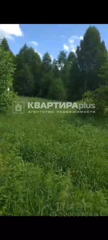 Участок в Свердловская область, Невьянский муниципальный округ, пос. ... - Фото 2