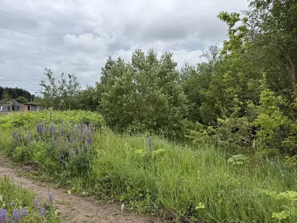 Участок в Московская область, Пушкинский городской округ, Софрино пгт  ... - Фото 1