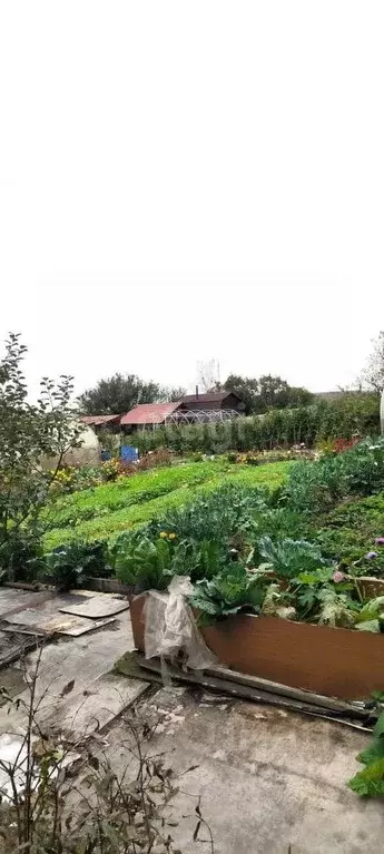 Участок в Хабаровский край, Хабаровск Жигулевская ул. (10.0 сот.) - Фото 1