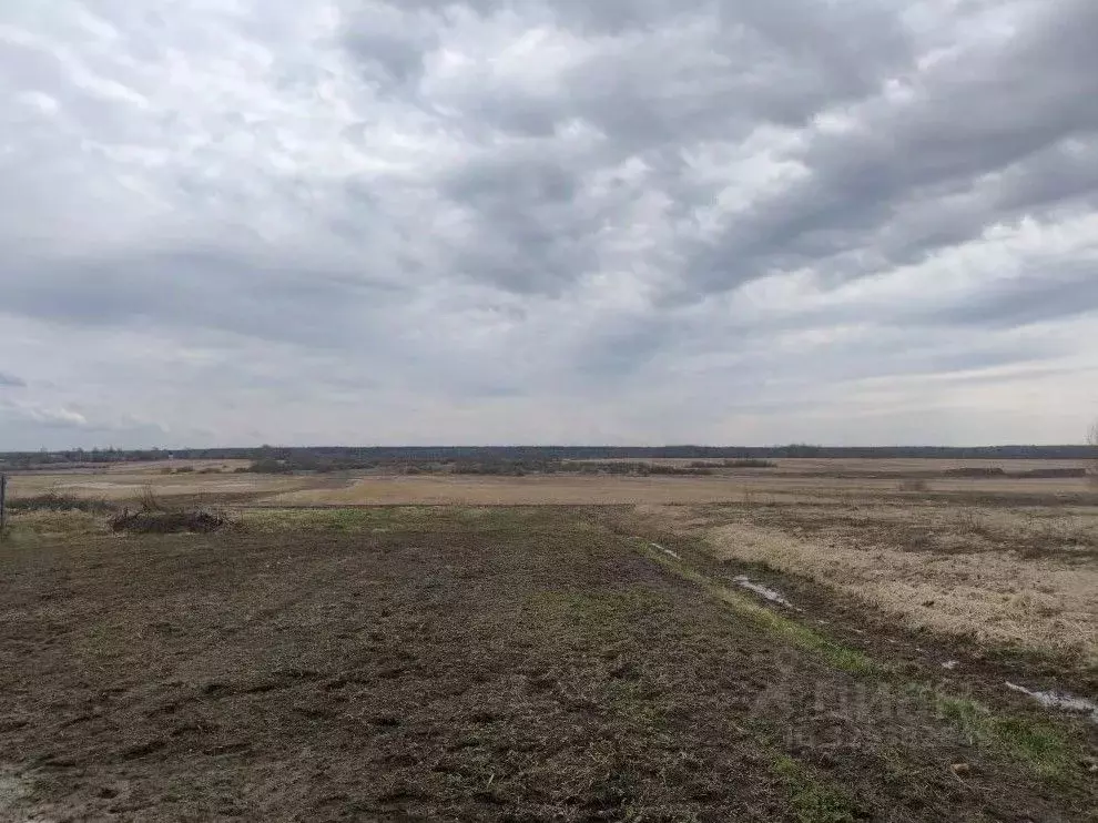 Участок в Московская область, Шатура муниципальный округ, д. ... - Фото 2